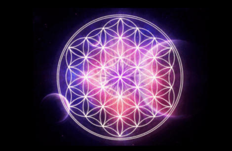 Flower of life flow state